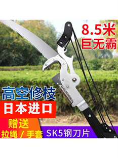 电动修树技神器进口SK5高枝剪刀高园林粗枝剪伸缩杆修剪果高空锯