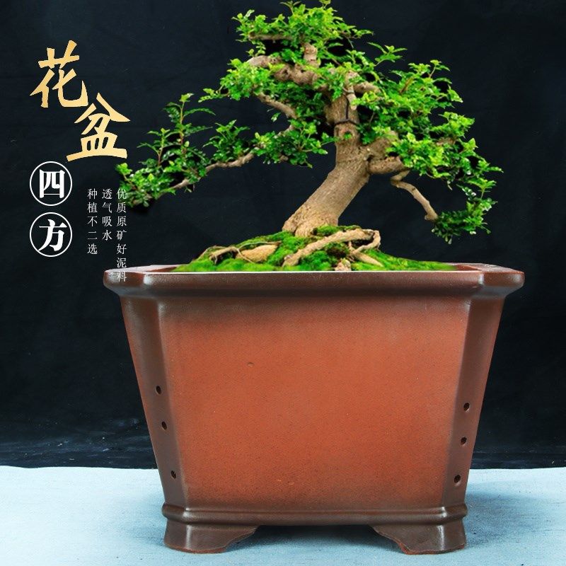 宜兴紫砂花盆特价清仓大四方花卉绿植盆景盆大口径多肉阳台陶瓷盆