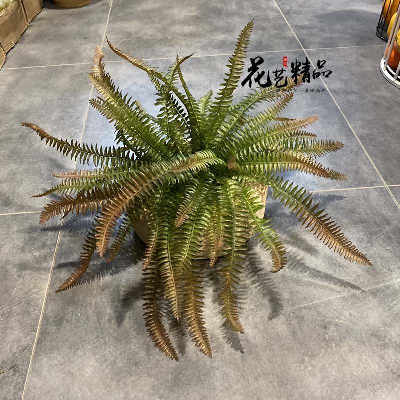 仿真草丛蕨草 蕨树 波士顿蕨 波斯草排骨草北欧蕨类植物造景橱窗
