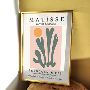 现代简约植物色彩抽象马蒂斯复古花朵客厅餐厅卧室床头装 饰画挂画