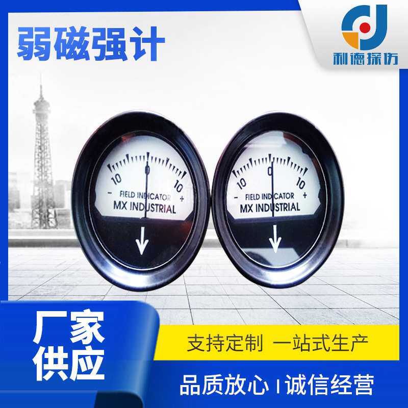 供应 弱磁强计专用于探伤机测磁仪表 弱磁强计