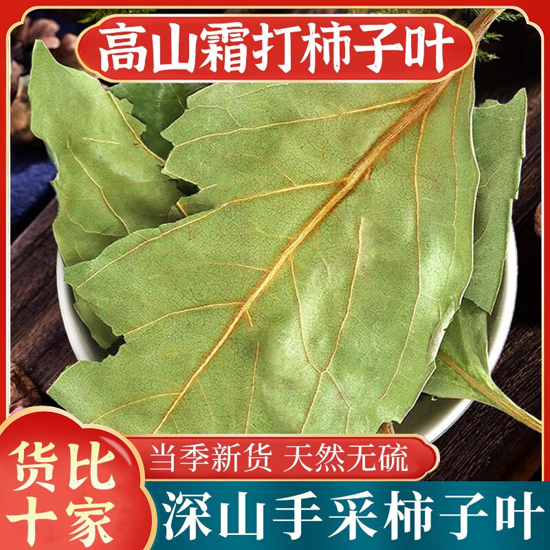 柿子叶中药材干柿子叶新鲜干货柿子叶粉柿子叶茶柿叶霜后柿子树叶