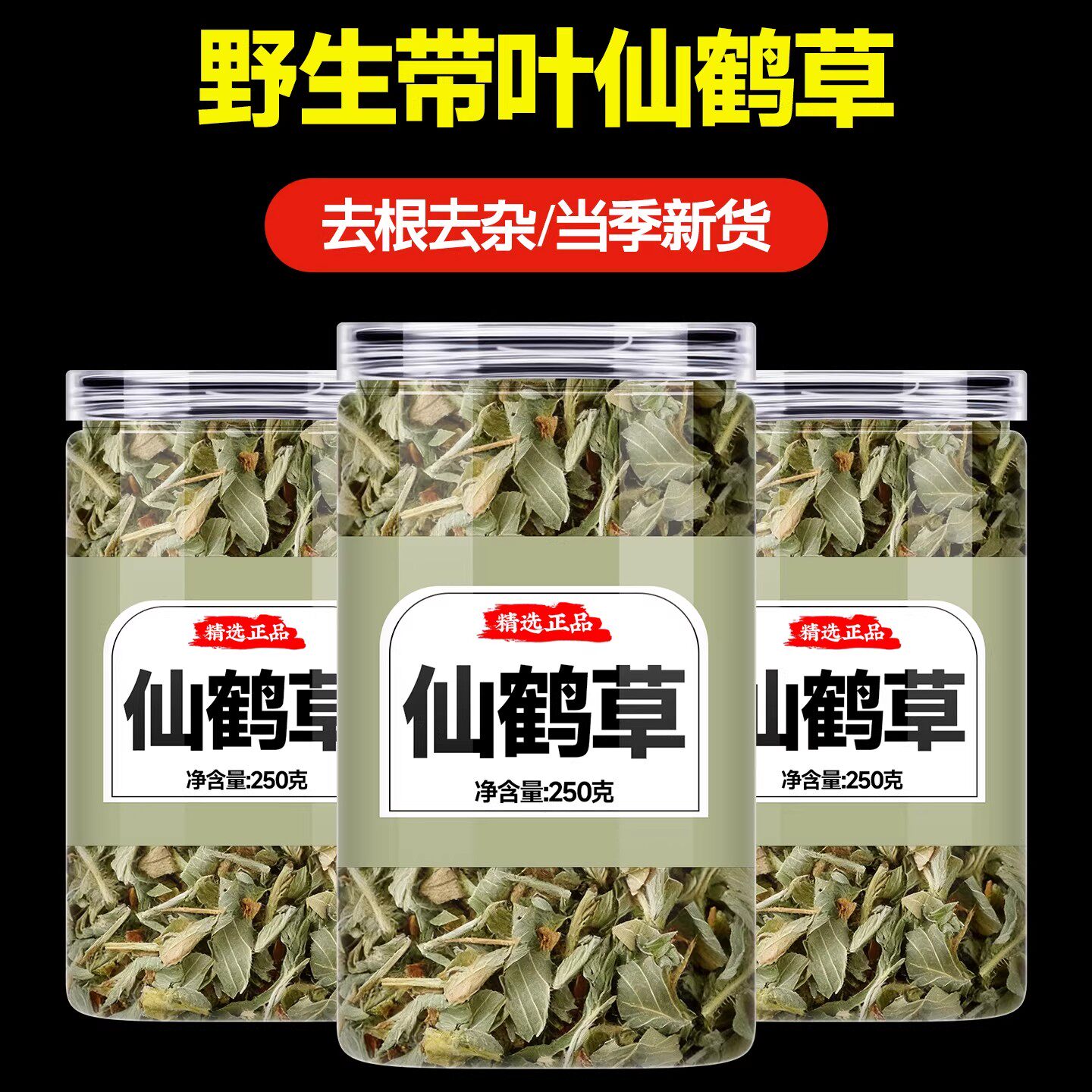 仙鹤草的功效与作用新鲜狼牙龙牙芽草脱力草野生仙鹤草中药材正品