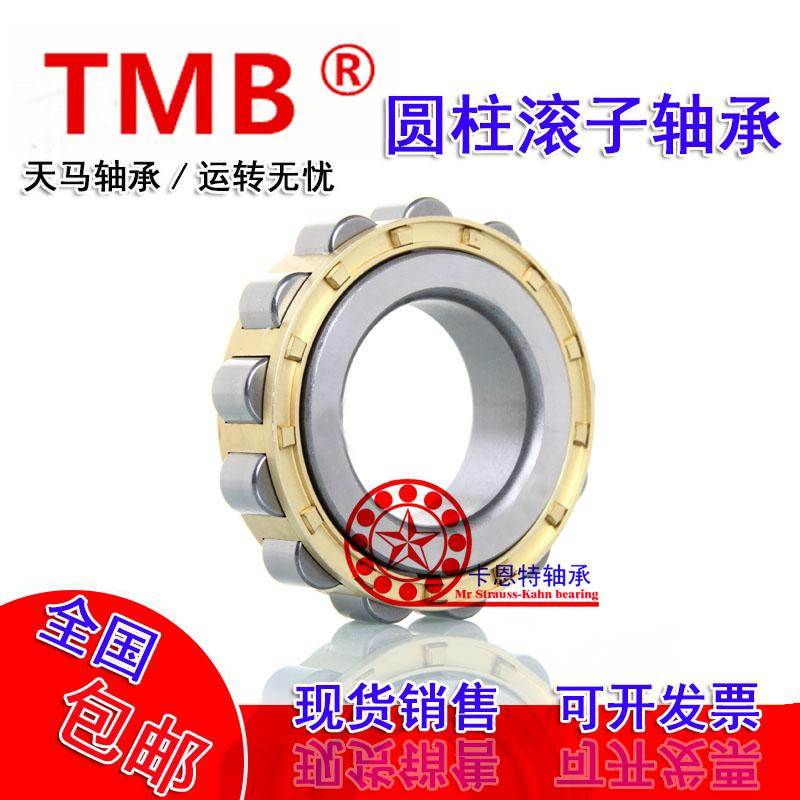 天马TMB圆柱滚子轴承 RN202 203 204 205 206 207 208 209 210 M
