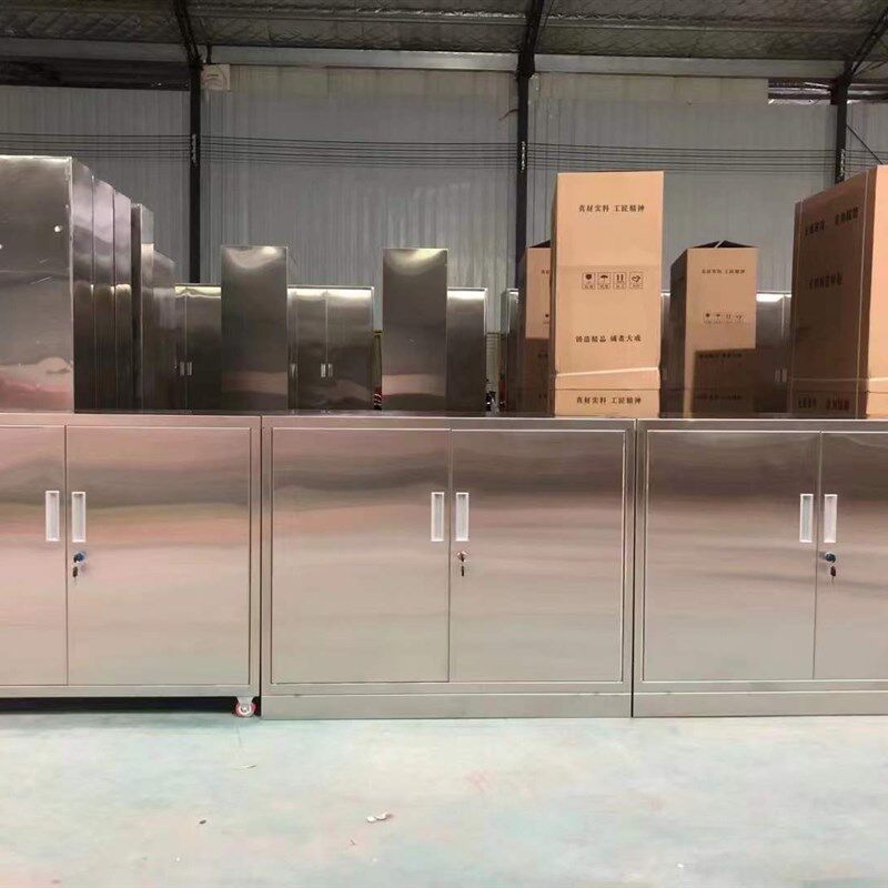 定制304不锈钢矮柜对开门文件柜移动工具储物柜无菌医疗器械柜子
