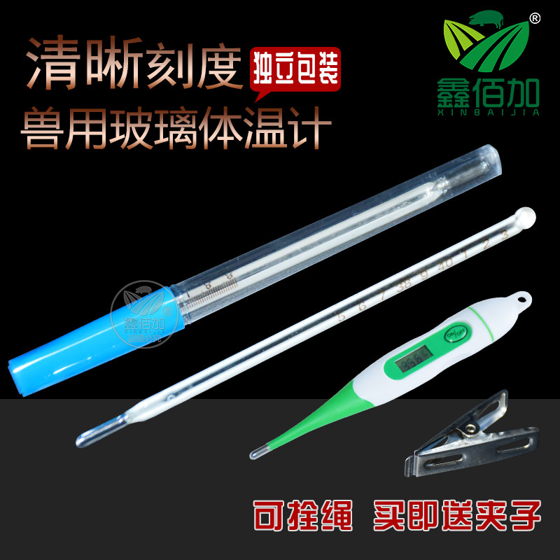 兽用体温计水银玻璃温度计猪牛羊温度表动物肛门体温表测温计仪器