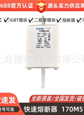 170M5143 170M5144 170M5145低压快速熔断器 型号齐全 全新现货