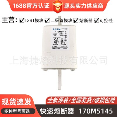 170M5143 170M5144 170M5145低压快速熔断器 型号齐全 全新现货