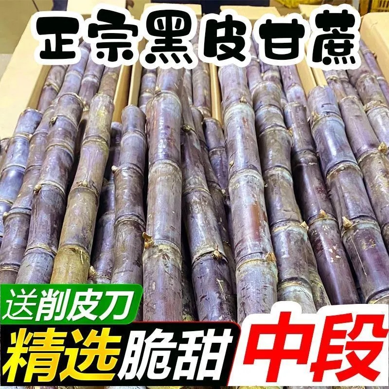 正宗广西黑皮甘蔗新鲜水果应季批发整箱中段脆甜当季多汁薄皮