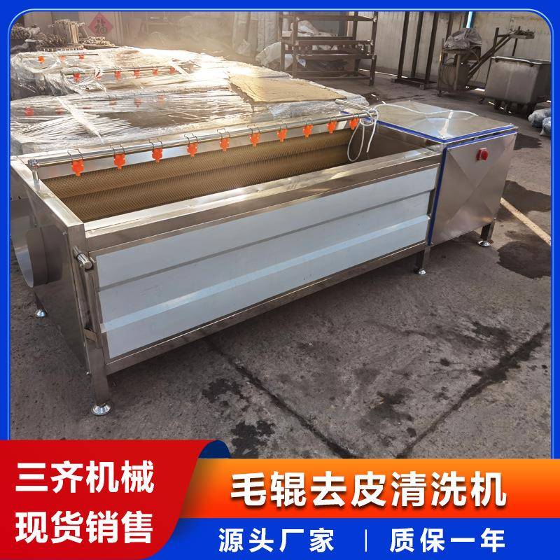 现货供应洋葱清洗机荸荠马蹄毛刷清洗机大产量生姜去皮清洗机