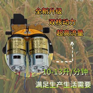 12V农用电动喷雾器配件水泵电机打农药机全铜高压大功率智能双核