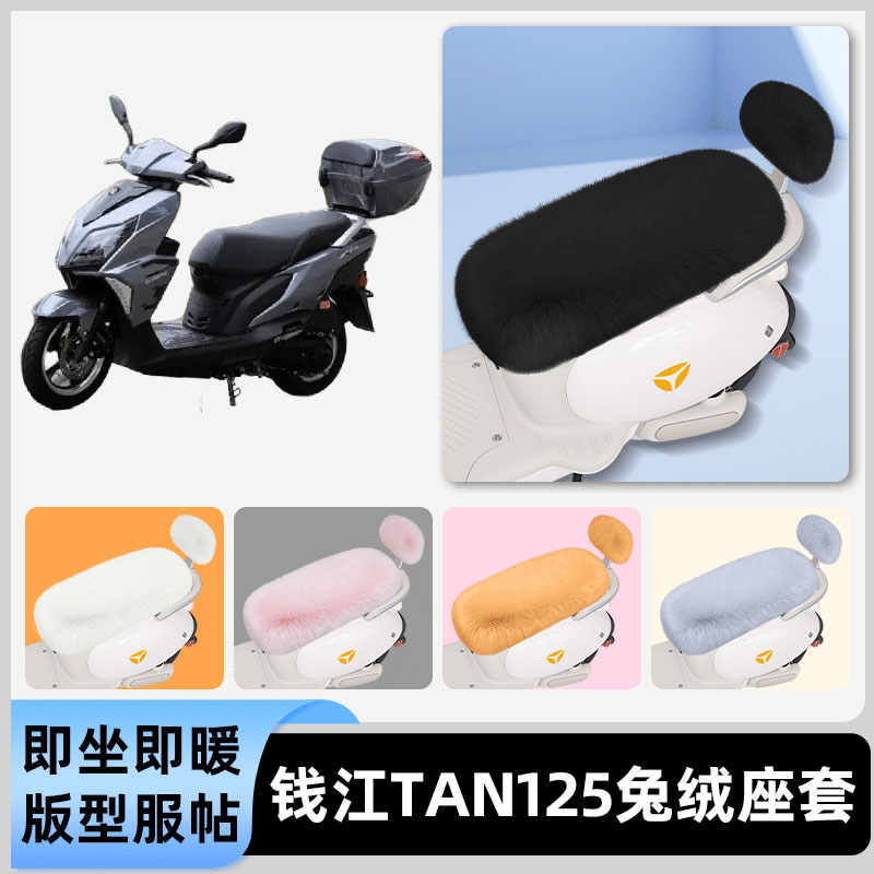 适用钱江TAN125电瓶电动车冬座套坐垫套座位防雨罩防水防晒饰配件