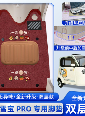 金彭鹏雪宝PRO碟刹款三轮车脚垫JP1000DZK-4P脚踏垫装饰改造配件