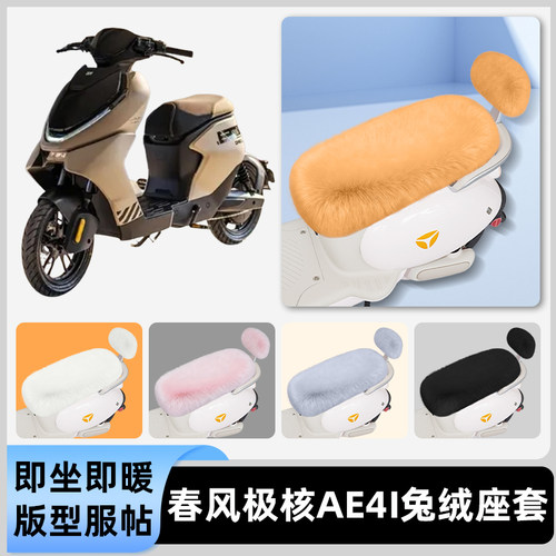 适用春风极核AE4i电瓶电动车冬座套坐垫套座位防雨防水防晒饰配件