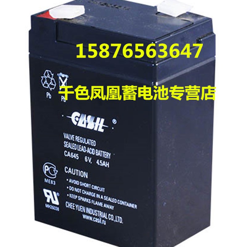 CASIL志源蓄电池 CA645 6V4.5AH CA648 6V4.8AH电子秤玩具车电池