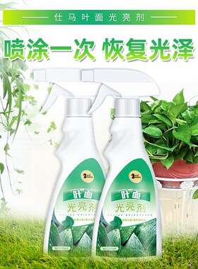 免稀释除污亮叶剂营养绿植君子兰绿萝龟背竹黄叶变绿防虫清洁剂AS
