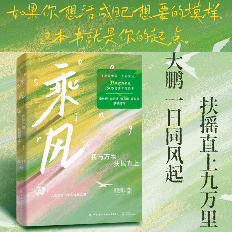 正版乘风：我与万物扶摇直上 北辰青年十年沉淀之作37场改变实验 1000万青年同行人生破局成长之书助你挣脱内耗活成自己想要的模样