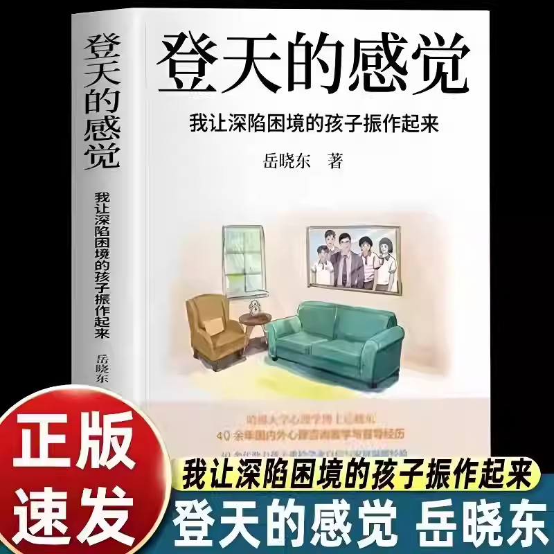 【亲签版】登天的感觉：我让深陷困境的孩子振作起来(我在哈佛大学做心理咨询)岳晓东中国心理学普及奠基之作【正版现货】