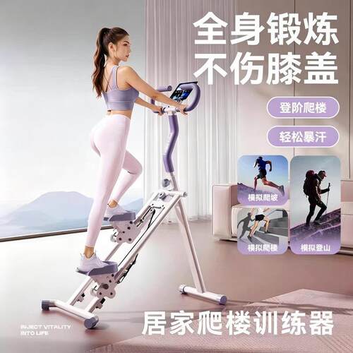多功能家用小型爬楼踏步机