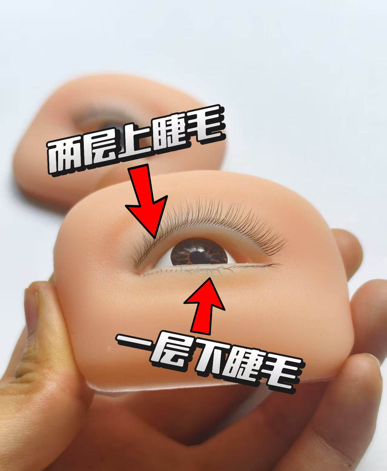 假睫毛嫁接练习模块适合初级美睫师练手,可反复使用可做样板实惠
