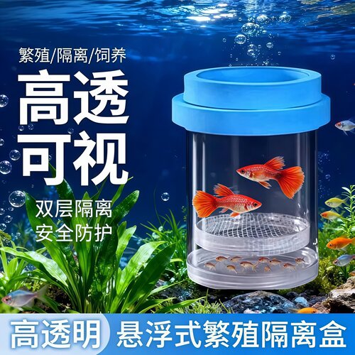 鱼缸母鱼产房隔离孵化盒