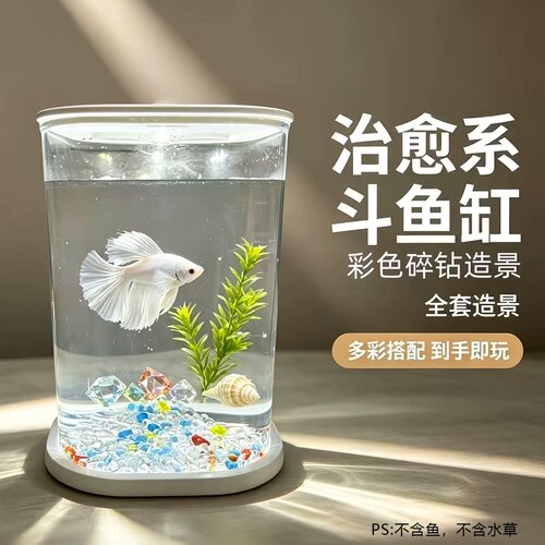 治愈系新款高透明生态小型桌面创