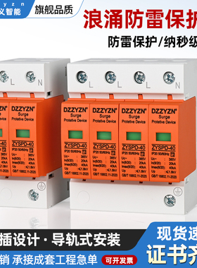 浪涌防雷保护器电涌避雷器40KA三相抑制吸收后备开关2P一二级SPD
