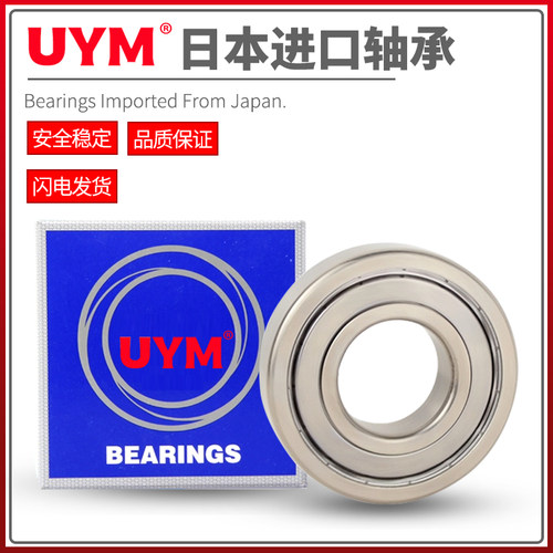 UYM日本进口耐高温轴承600度FT6300 6301 6302 6303 6304 6305 ZZ