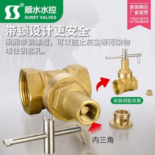 DN25 16T黄铜丝扣内螺纹防盗锁闭表前闸阀DN15 浙江顺水阀门 Z15W
