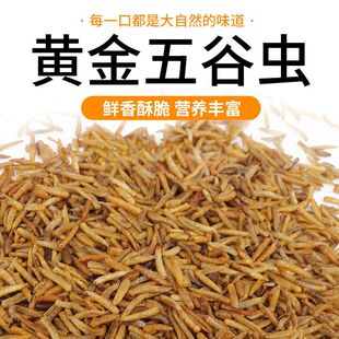 五谷虫鸟食芦丁鸡五谷虫干 蛆虫干八哥白头翁画眉鸟饲料零食500克