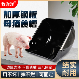母猪食槽加厚钢板食槽不锈钢料槽产床定位栏猪料槽母猪喂料吃食盆