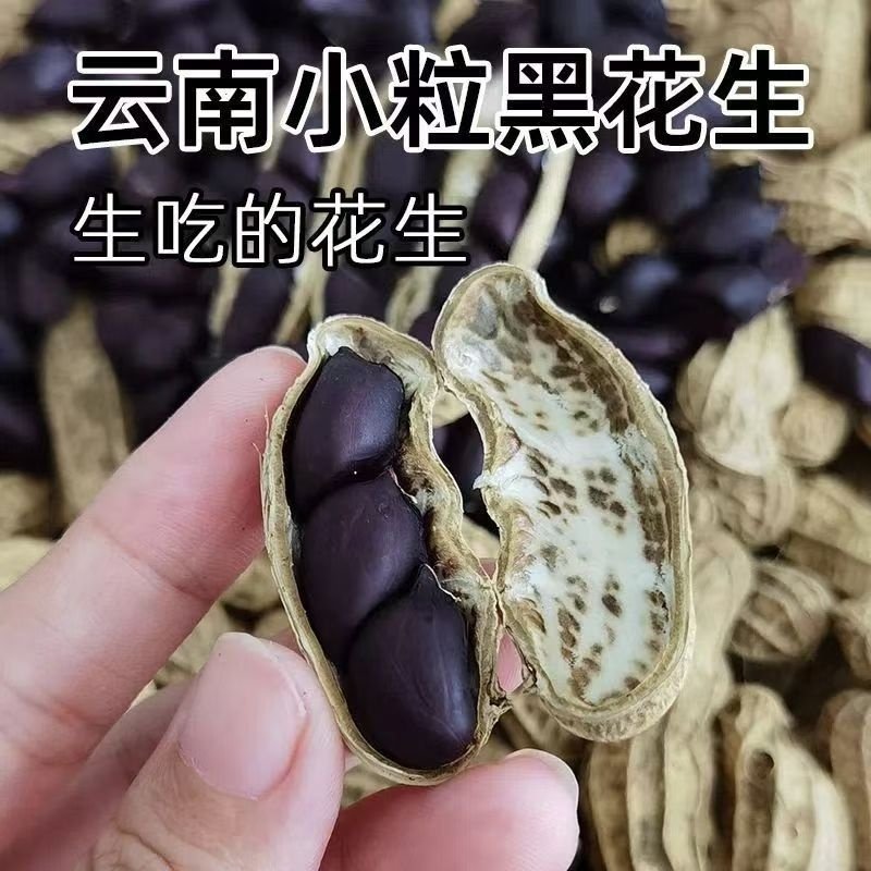 2025年新货云南黑花生带壳富硒小粒种黑皮花生米平台晒干原味新鲜,零食/坚果/特产,花生,淘宝优惠券,粉丝福利购,淘宝优惠卷