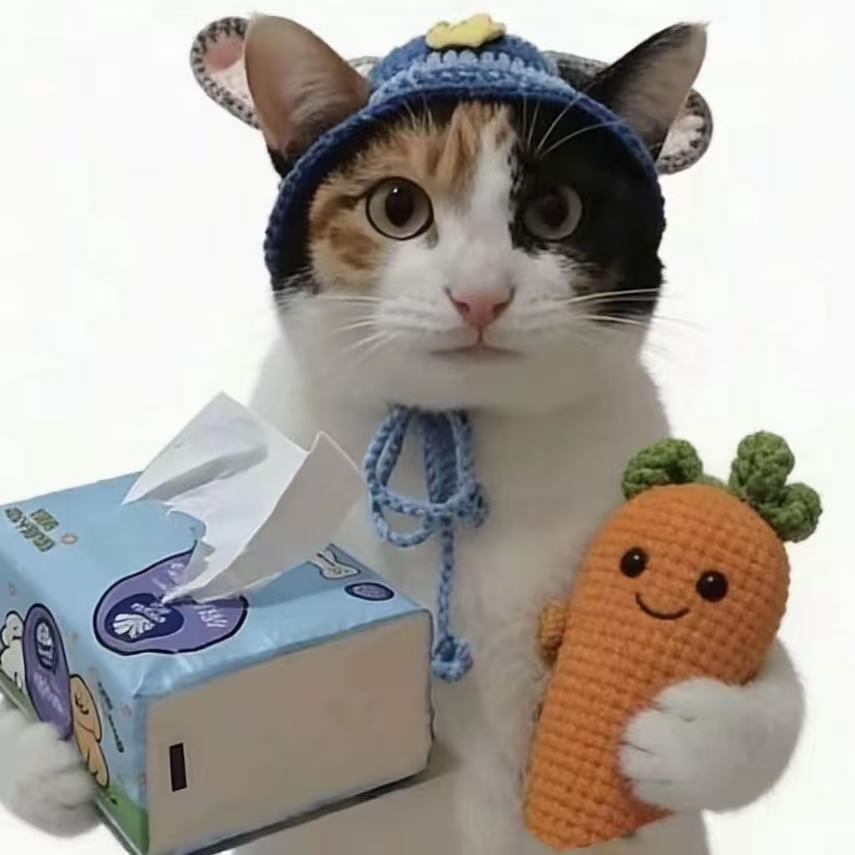 网红同款可爱小猫钩织成品头饰