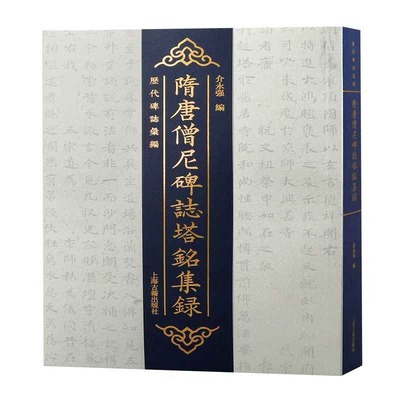 正版新书 隋唐僧尼碑志塔铭集录 介永强编 上海古籍出版社