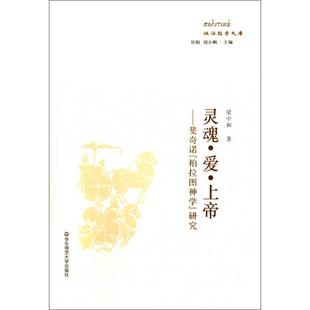 斐奇诺柏拉图神学研究 政治哲学文库 刘小枫 新书 华东师大 甘阳 灵魂爱上帝 主编 正版 梁中和