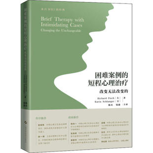 正版新书 困难案例的短程心理治疗 改变无法改变的 理查德·菲什 上海科学技术出版社