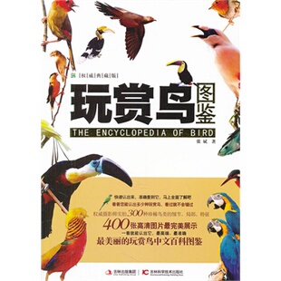 正版新书 玩赏鸟图鉴:典藏版 张斌著 吉林科学技术出版社