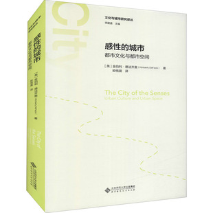 正版新书 感的城市 城市文化与城市空间 (美)金伯利·德法西奥 北京师范大学出版社