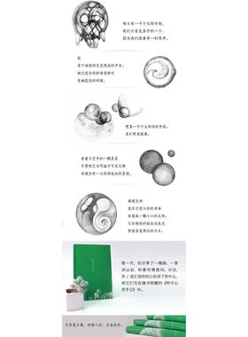 正版新书 想象你是一颗飞翔的种子 (美)小野洋子(Yoko Ono) 著;张芸 译 新星出版社