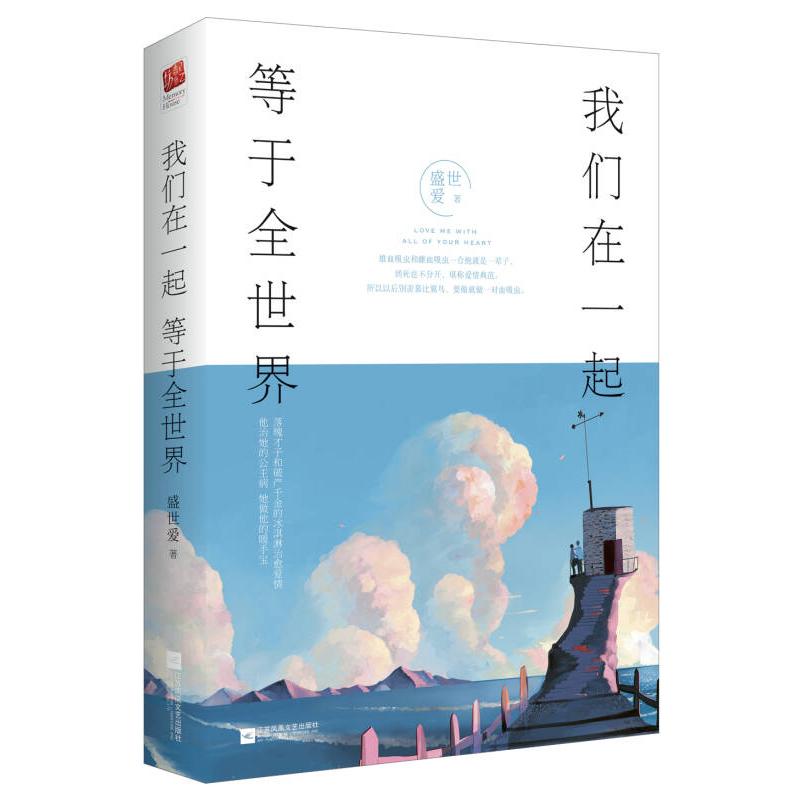 正版新书 我们在一起等于全世界 盛世爱 江苏凤凰文艺出版社