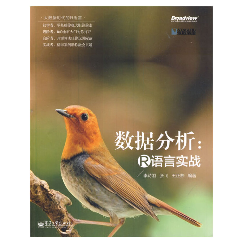 正版二手 数据分析--R语言实战(大数据时代的R语言) 李诗羽//张飞//王正林 电子工业