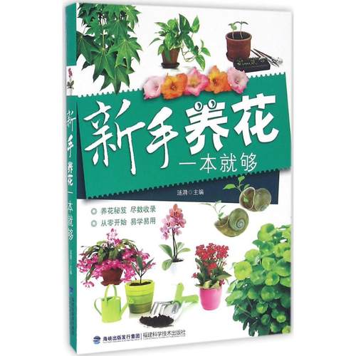 正版新书 新手养花一本就够 涟漪 福建科学技术出版社