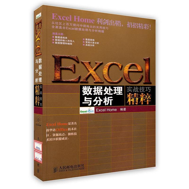正版二手 Excel数据处理与分析实战技巧精粹 Excel Home 人民邮电出版社