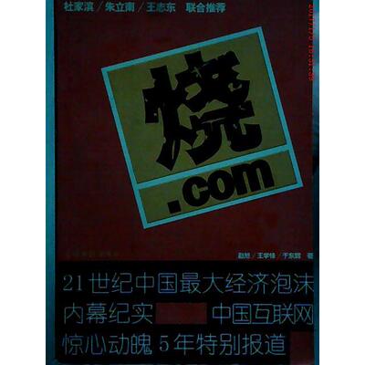 正版新书 烧.com——21世纪中国经济泡沫内幕纪实 赵旭 王学峰 于东辉 光明日报