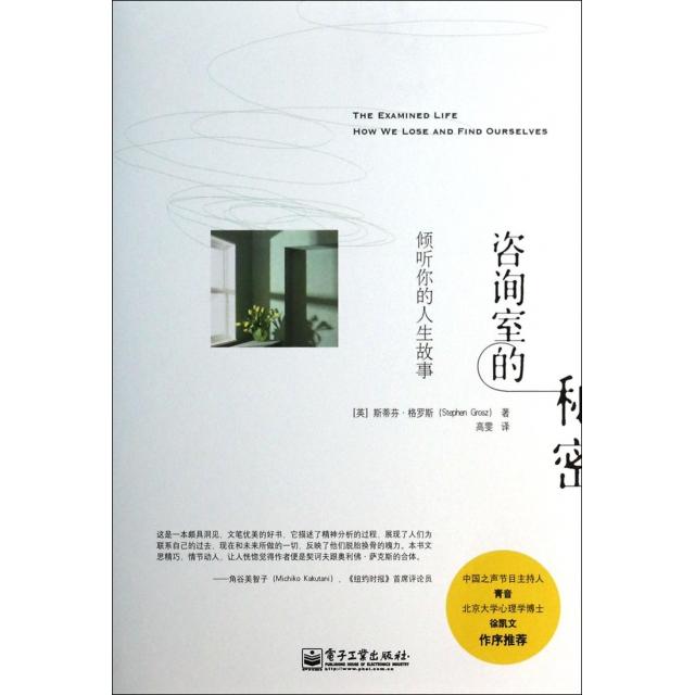 正版新书 咨询室的秘密(倾听你的人生故事) (英)斯蒂芬·格罗斯|译者:高雯 电子工业