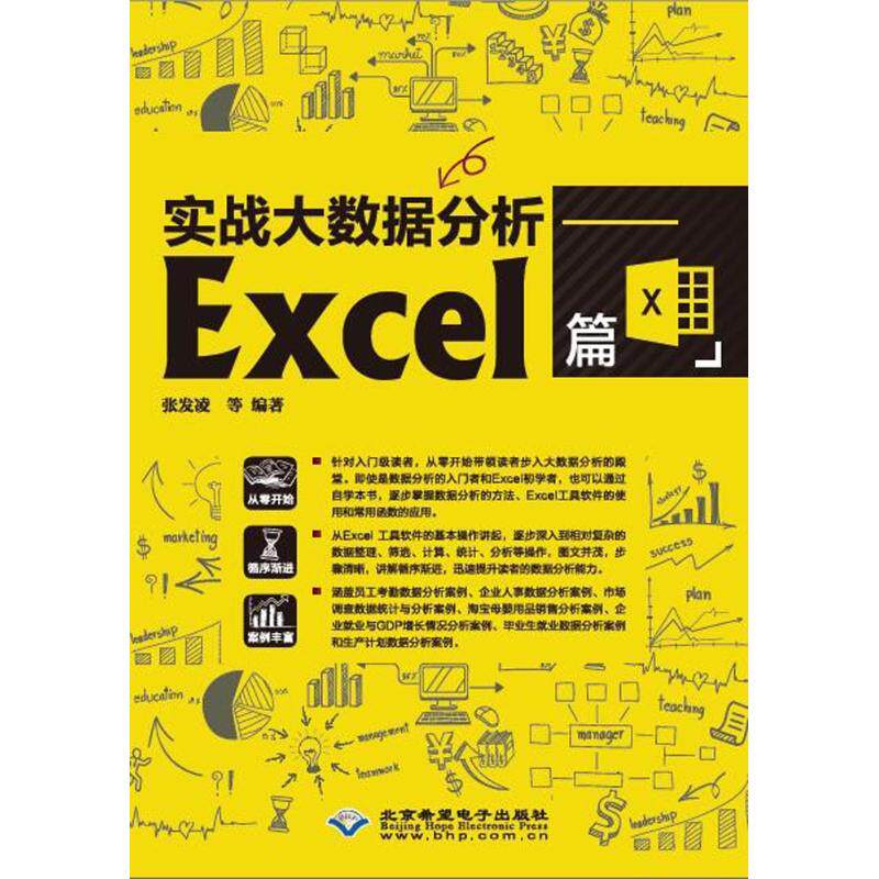 正版新书 实战大数据分析（Excel篇） 张发凌 北京希望电子出版社