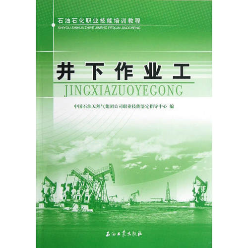 正版新书 井下作业工 中国石油天然气集团公司职业技能鉴定指导中心 石油工业出版社
