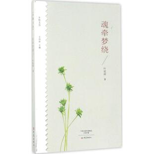 正版新书 魂牵梦绕 叶延滨 著;王剑冰 丛书主编 著 大象出版社