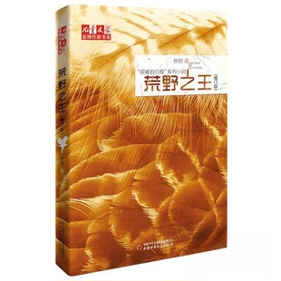 正版新书 牧铃“艰难的归程”系列—— 荒野（修订版）《儿童文学》作家书系· 牧铃  著 中国少年儿童出版社