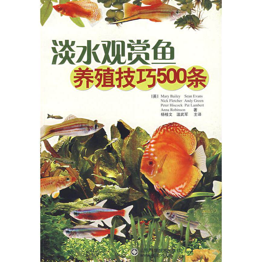 正版新书 淡水观赏鱼养殖技巧500条 杨桂文 山东科学技术出版社